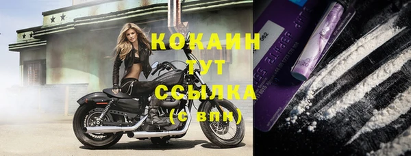 стаф Аркадак